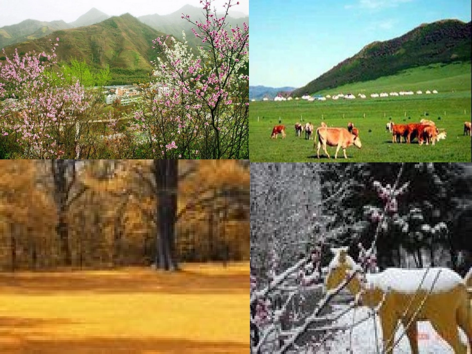 第四章第一节天气和气候 七年级地理上：第四章第一节 天气和气候课件(湘教版)_第2页