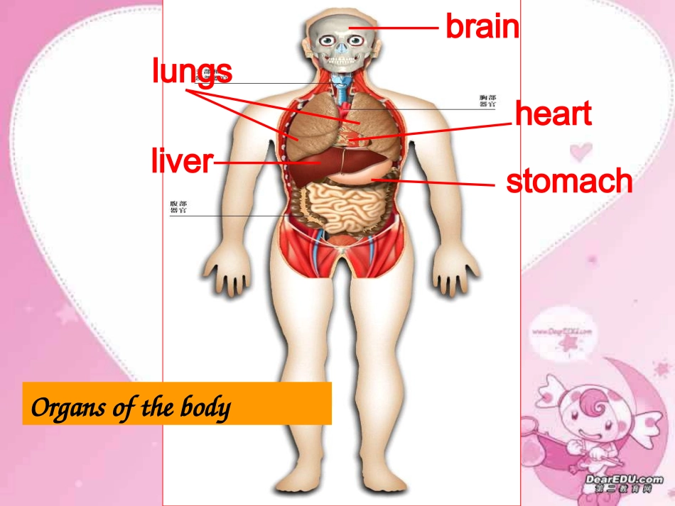 高二英语Unit3 science versus nature word power 牛津英语 课件_第3页
