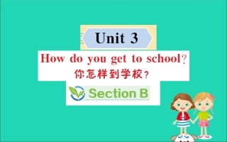 版七年级英语下册 Unit 3 How do you get to school Section B训练课件 (新版)人教新目标版 课件