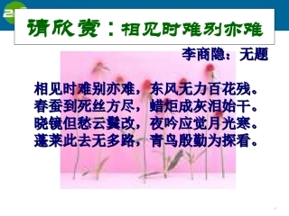 高中语文 (锦瑟)教学课件 苏教版必修5 课件