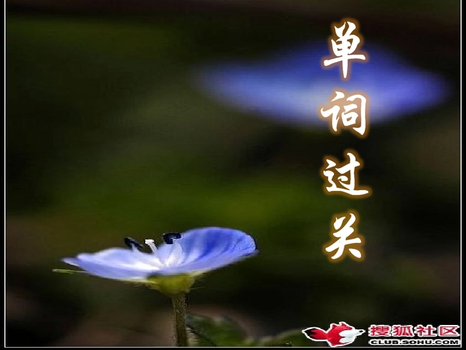 高三英语模块一 unit1-unit2一轮复习 课件_第2页