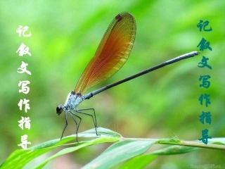 高中语文：(记叙文写作指导)复习课件