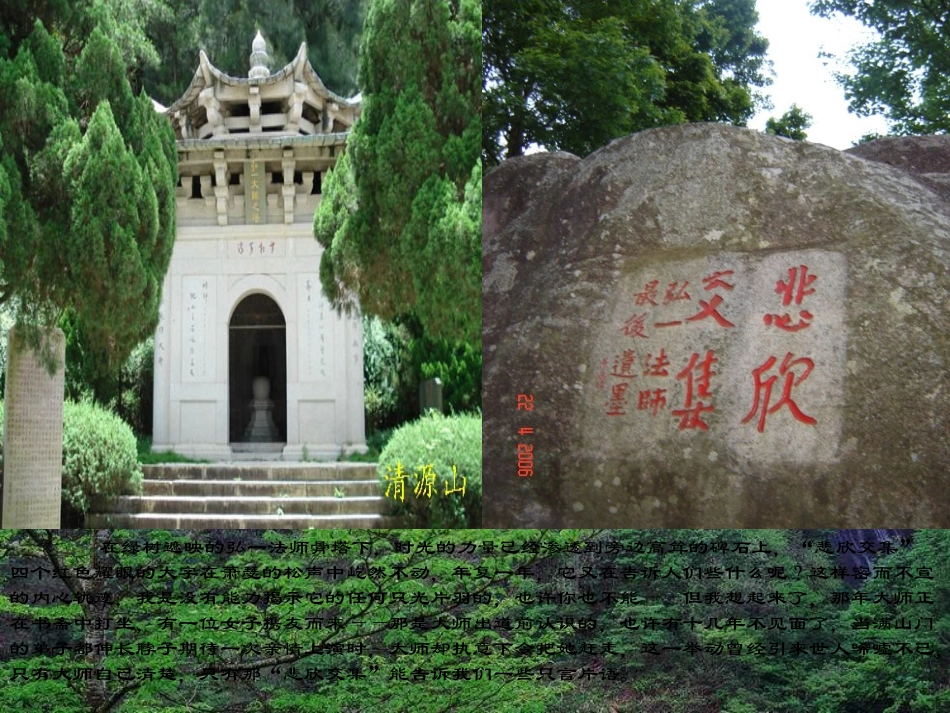 高考语文二轮复习 小说阅读和散文阅读课件5 课件_第3页