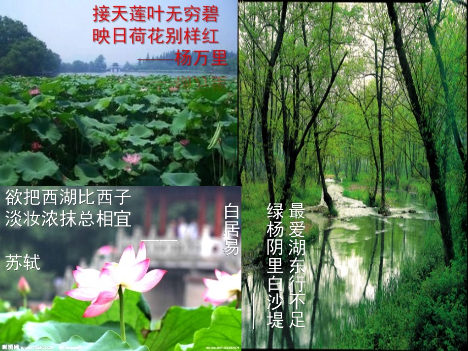 校八年级语文上册 29(湖心亭看雪)课件 (新版)新人教版 课件_第2页