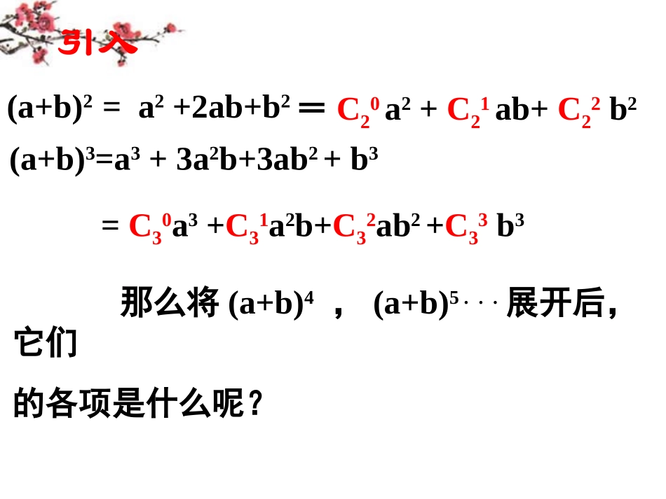 高二数学(二项式定理)课件_第2页