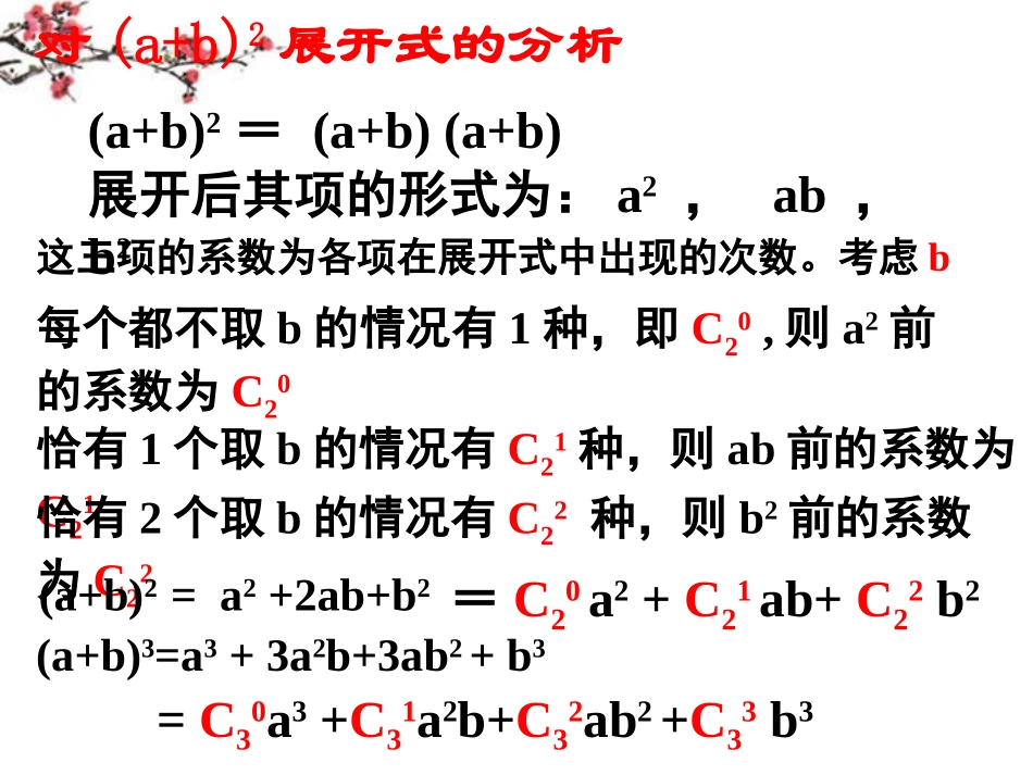 高二数学(二项式定理)课件_第3页