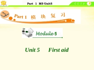 高中英语总复习 M5 Unit 5 First aid课件