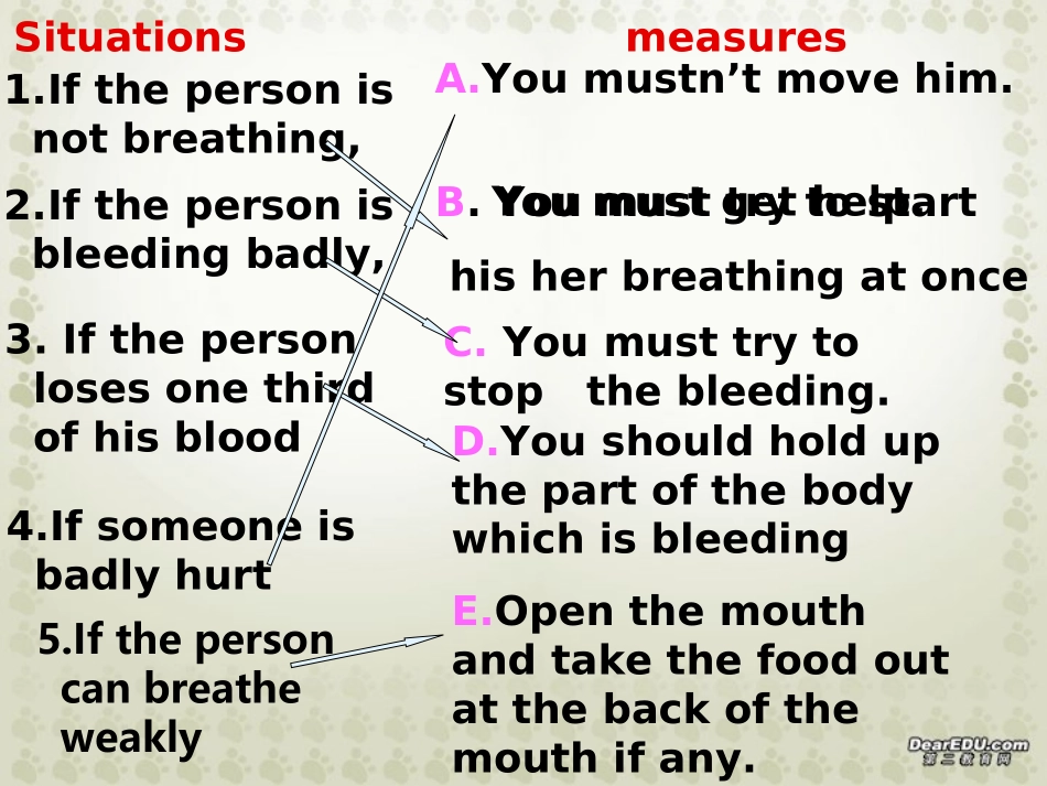 浙江地区高二英语学Unit8 reading课件_第2页