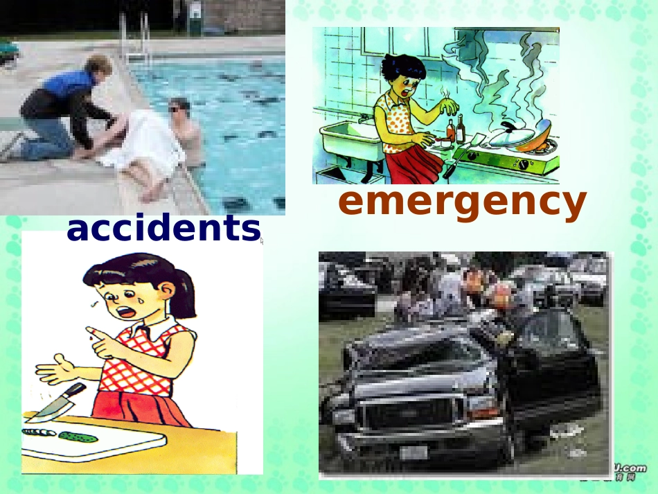 浙江地区高二英语学Unit8 reading课件_第3页