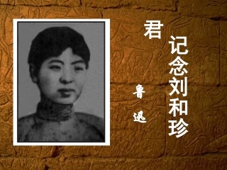 高二语文纪念刘和珍君 人教版 课件