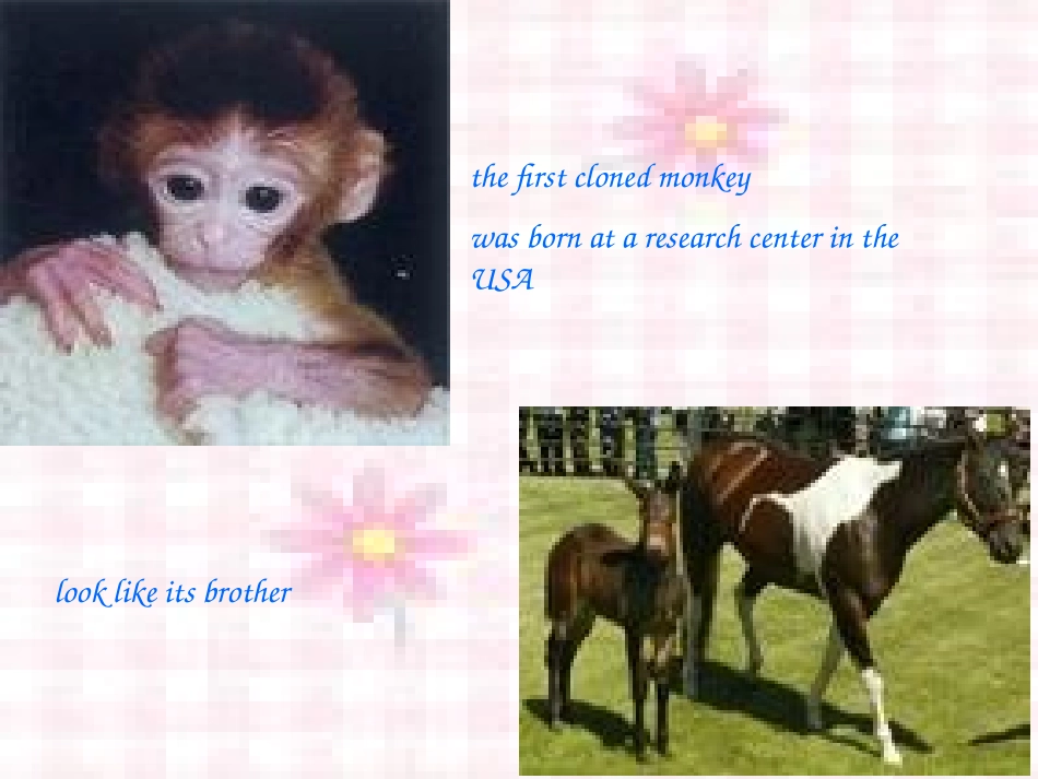 高中英语必修5Unit 3 Science versus natureppt 课件_第2页