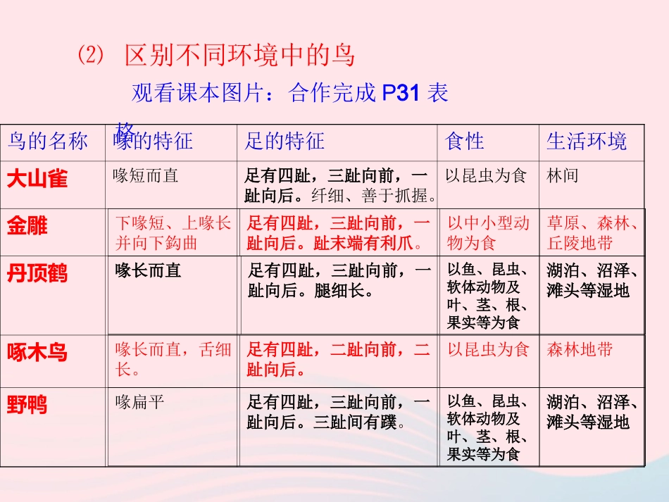 第六节 鸟 八年级生物上册 第五单元 第一章 第六节 鸟素材 (新版)新人教版 八年级生物上册 第五单元 第一章 第六节 鸟素材 (新版)新人教版_第3页