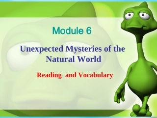 高中英语 Reading复习课件 外研版必修5 课件