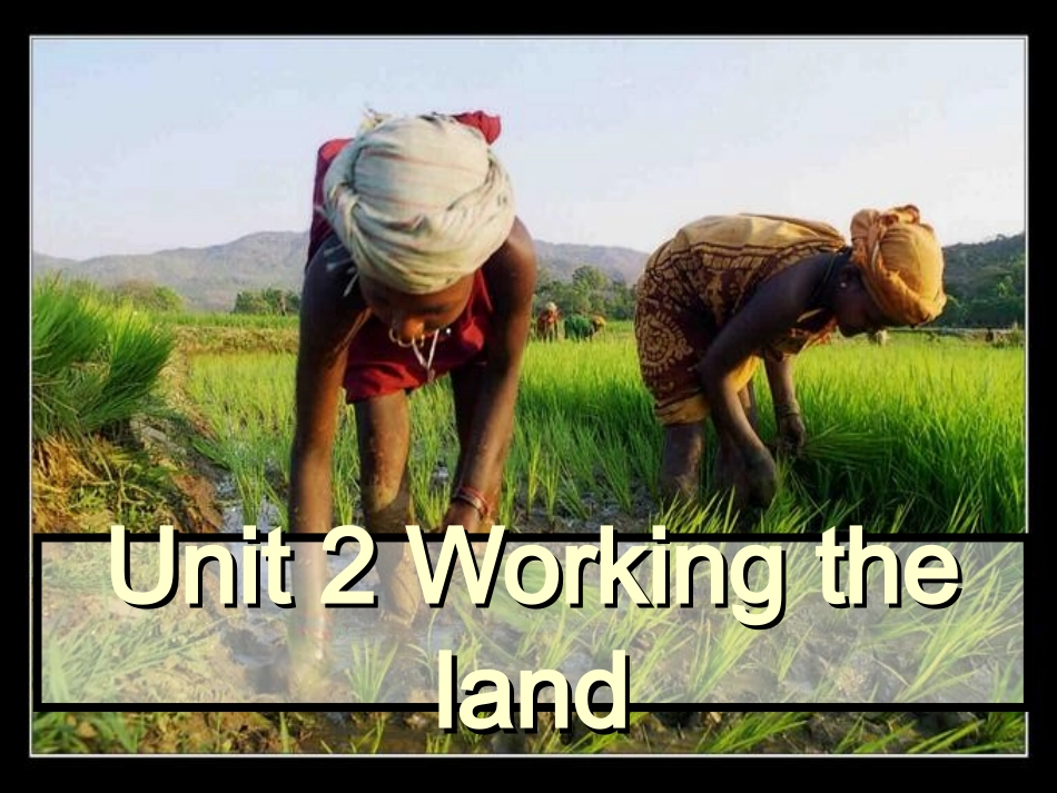 高中英语：Unit2 (working the land-Yuanlongping)课件(新人教版必修4) 课件_第1页