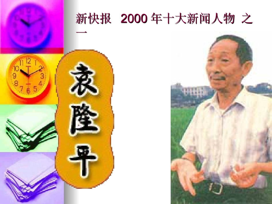 高中英语：Unit2 (working the land-Yuanlongping)课件(新人教版必修4) 课件_第2页