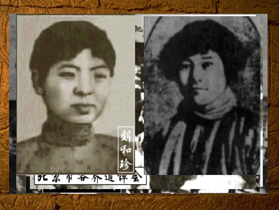 高中语文 纪念刘和珍君课件 新人教版必修1 课件_第2页