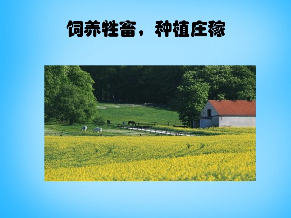 高中语文第11课自然界和社会课件北师大版必修1 课件_第3页