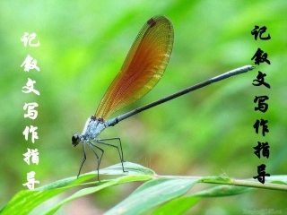 高考语文(记叙文写作指导)课件