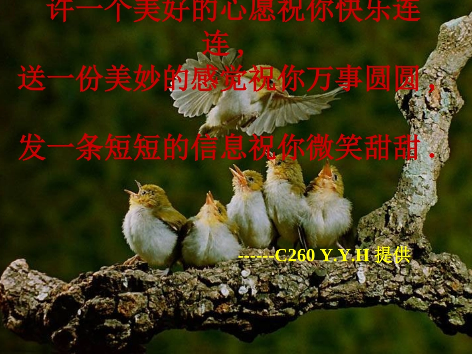 高考语文专题讲座之手机短信的编写与应用课件_第1页