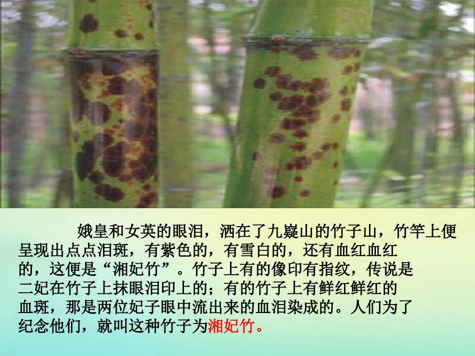 高中语文12湘夫人课件新人教版选修中国古代诗歌散文欣赏 课件_第3页