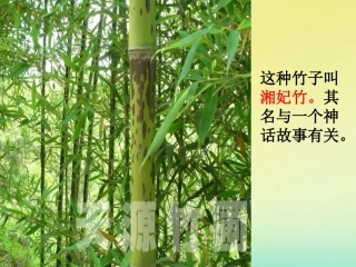 高中语文12湘夫人课件新人教版选修中国古代诗歌散文欣赏 课件