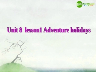 高中英语 unit8 lesson1 adventure holidays课件 北师大版必修3 课件