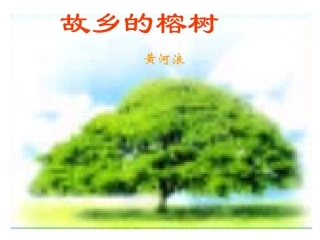 高中语文故乡的榕树ppt 课件