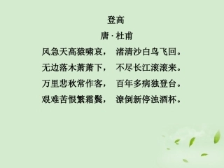 高中语文(旅夜书怀)教学课件 苏教版选修(唐诗宋词选读) 课件