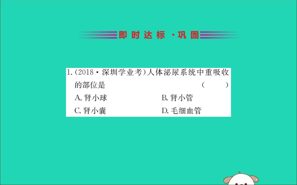 版七年级生物下册 第四单元 生物圈中的人 第五章 人体内废物的排出训练课件 新人教版 课件_第2页