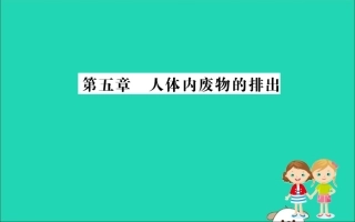版七年级生物下册 第四单元 生物圈中的人 第五章 人体内废物的排出训练课件 新人教版 课件