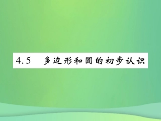秋七年级数学上册 第四章 基本平面图形 4.5 多边形和圆的初步认识练习课件 (新版)北师大版 课件