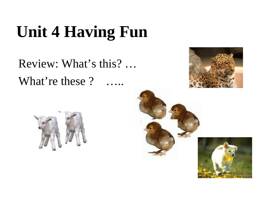 湘教版七年级英语上册Unit4 Having Fun 同步练习(ppt) 试题_第1页