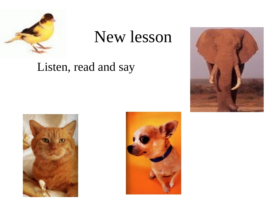 湘教版七年级英语上册Unit4 Having Fun 同步练习(ppt) 试题_第2页