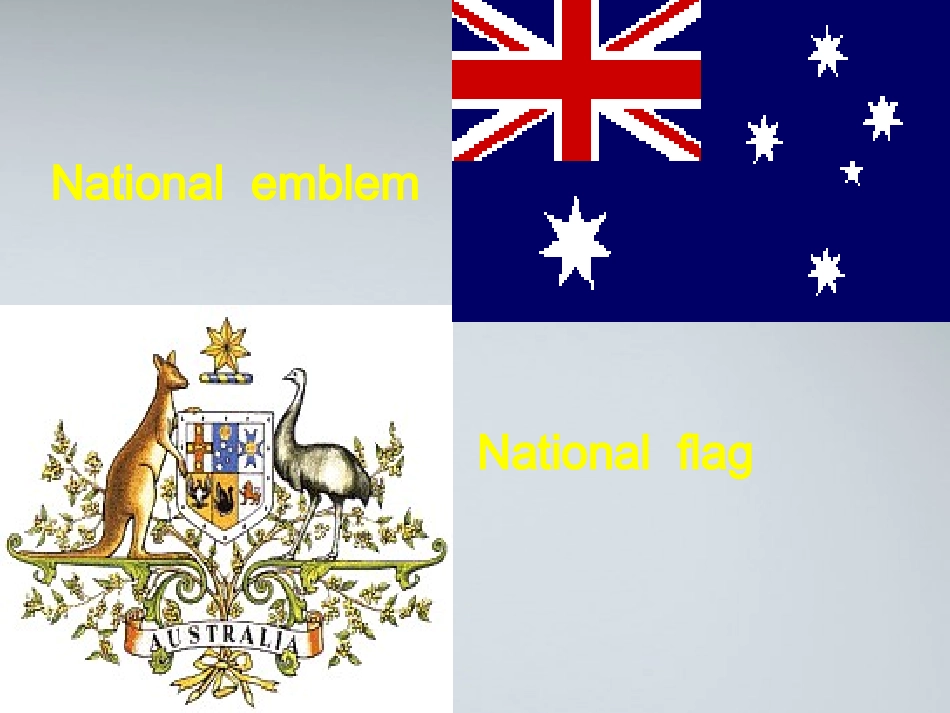 高中英语 Unit12 lesson4 The New Australians课件 北师大版必修4 课件_第3页