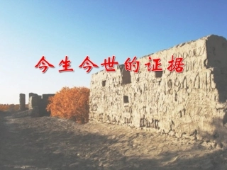 高中语文 第三专题(今生今世的证据)课件 苏教版必修1 课件