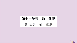 湖北省中考化学一轮复习 第十一单元 第18讲 盐 化肥课件