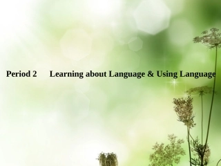 高中英语 Unit 5 Nelson Mandela—a modern hero-Period 2课件 新人教版必修1 课件