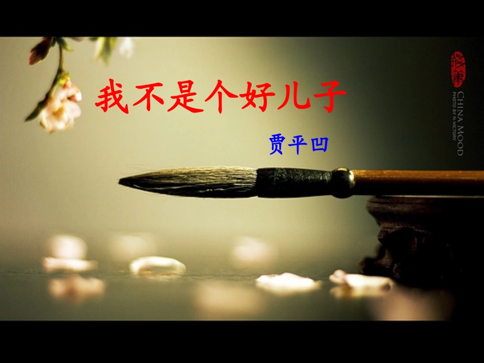 高中语文第6课我不是个好儿子课件鲁教版必修3 课件_第2页