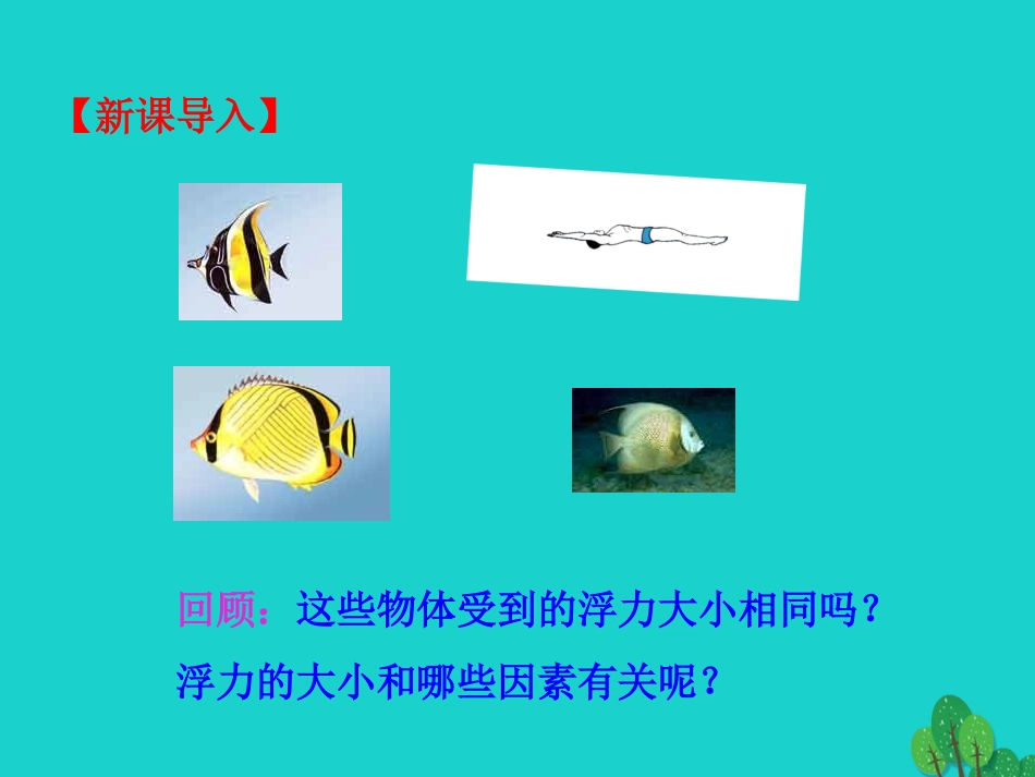 第2节 阿基米德原理课件 八年级物理下册 10.2 阿基米德原理课件+素材 (新版)新人教版 八年级物理下册 10.2 阿基米德原理课件+素材 (新版)新人教版_第3页