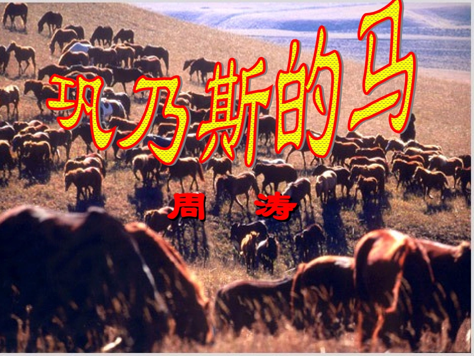 高中语文 312(巩乃斯的马)课件1 语文版必修2 课件_第1页