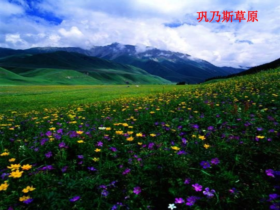 高中语文 312(巩乃斯的马)课件1 语文版必修2 课件_第2页