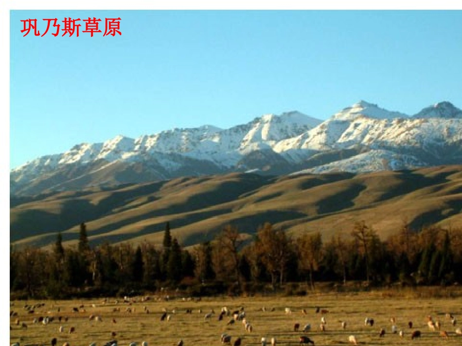 高中语文 312(巩乃斯的马)课件1 语文版必修2 课件_第3页