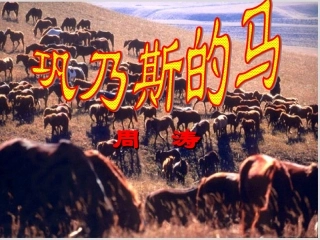 高中语文 312(巩乃斯的马)课件1 语文版必修2 课件