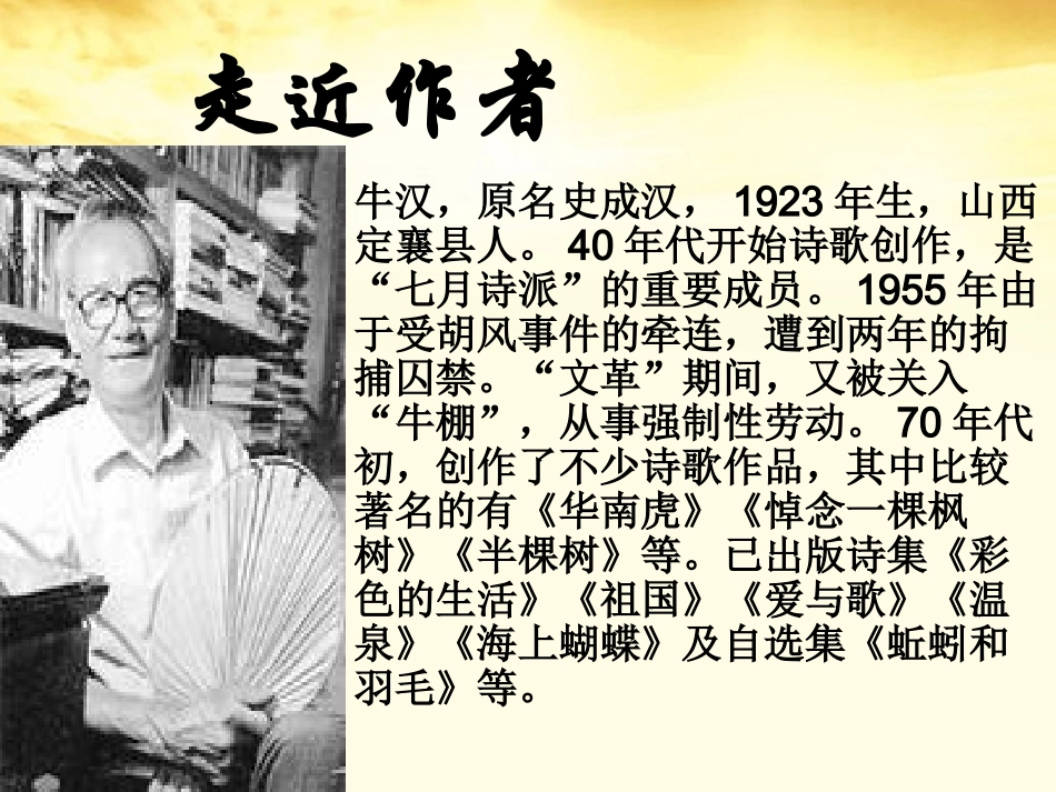 高中语文 (半棵树)课件 新人教版选修(中国现代诗歌散文欣赏) 课件_第2页