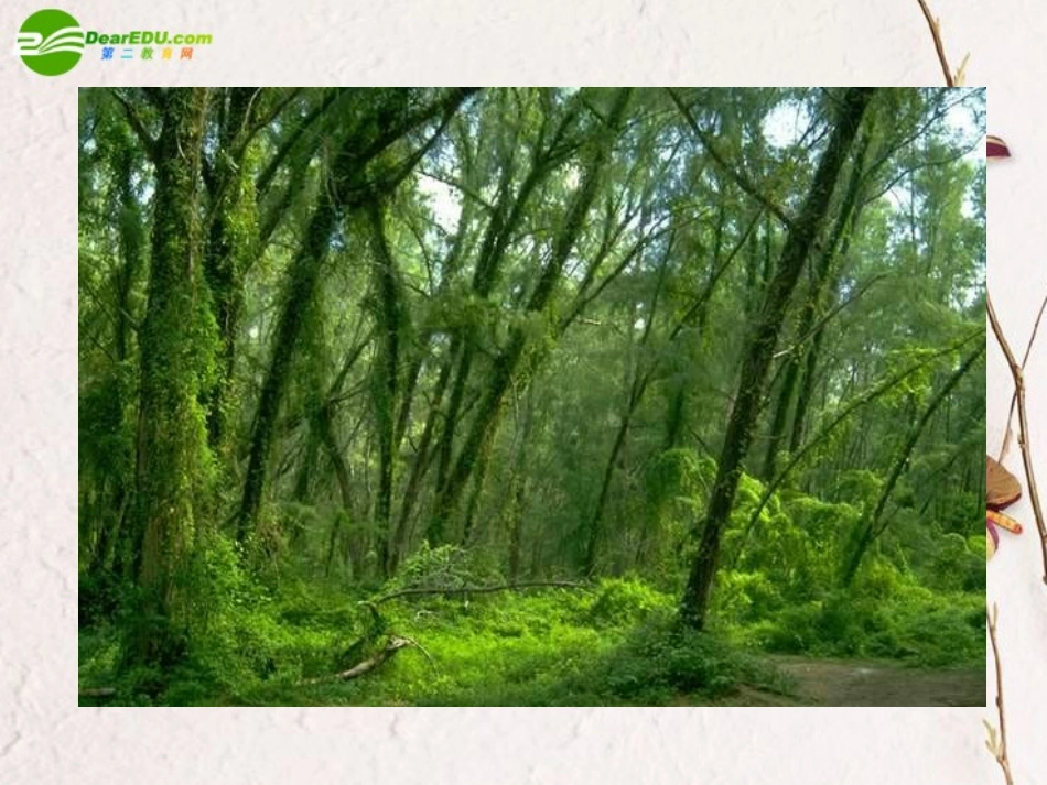 高一语文上册(我的呼吁)课件 人教版第一册 课件_第2页