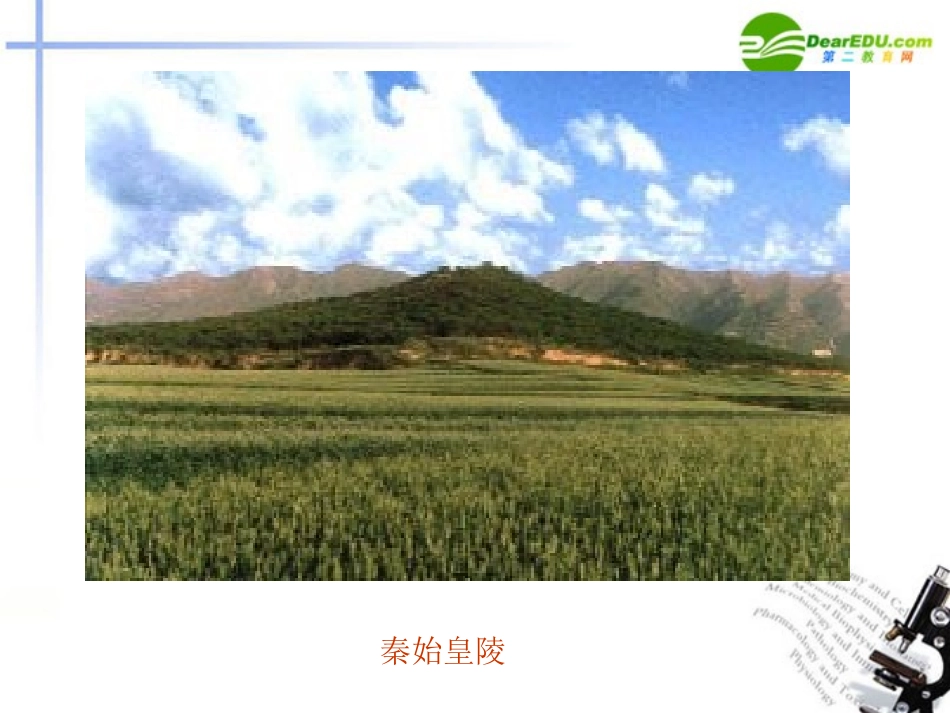 高中语文(世间最美的坟墓)课件 人教版第一册 课件_第3页