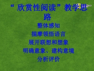 高三语文 欣赏性阅读复习课件