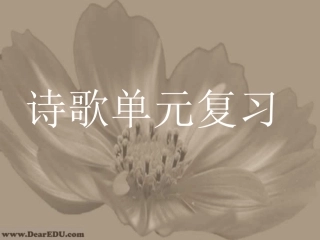 高三语文诗歌单元复习课件