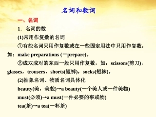 高考英语 名词和数词课件