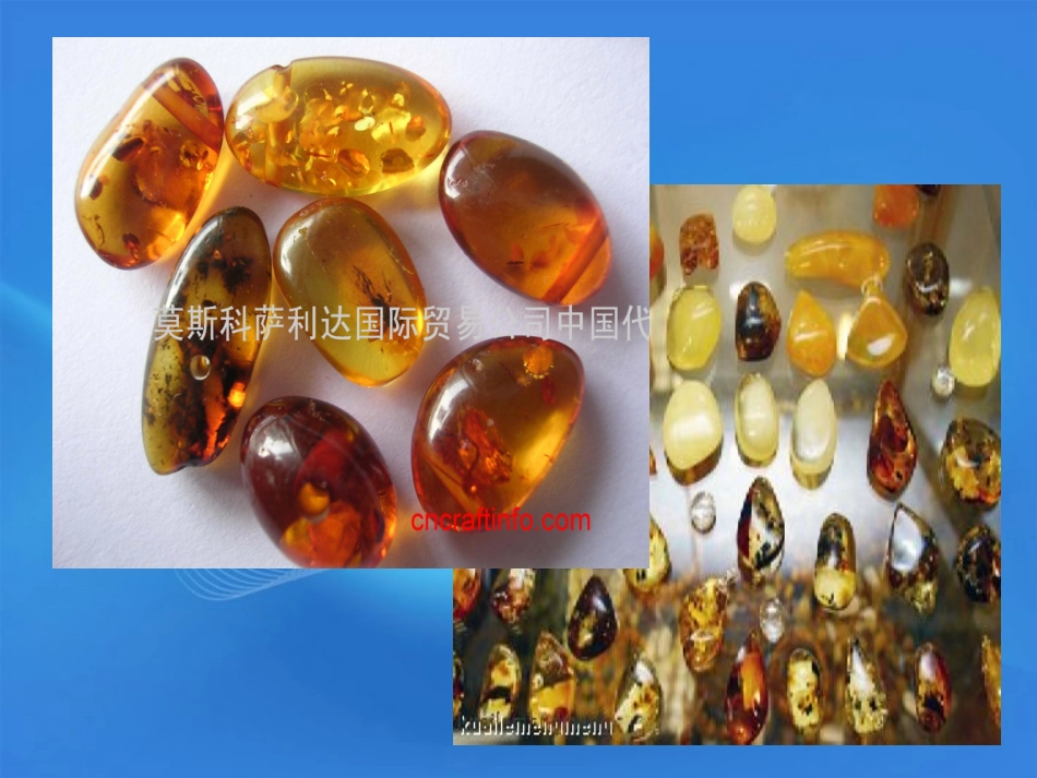 高中英语 Unit1 Reading II课件2 新人教版必修2 课件_第2页